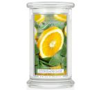 Kringle Candle 623g - Citrus & Sage